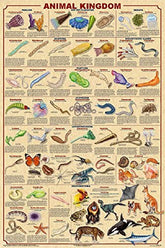 Animal Kingdom Educational Classroom Poster